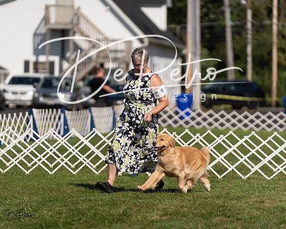 20230903-DSC03285
