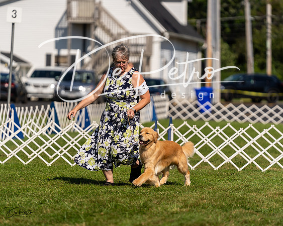 20230903-DSC03287