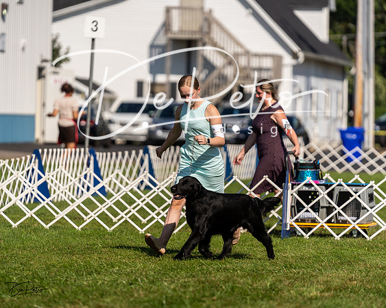 20230903-DSC03326