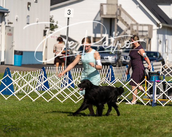 20230903-DSC03328