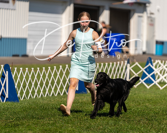 20230903-DSC03336
