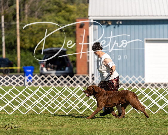 20230903-DSC03350
