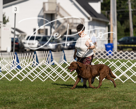 20230903-DSC03361