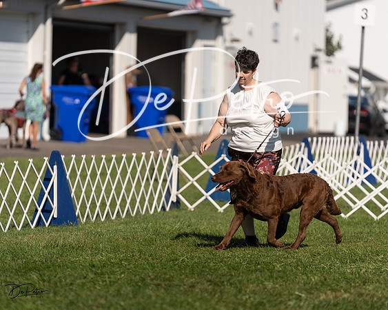 20230903-DSC03366