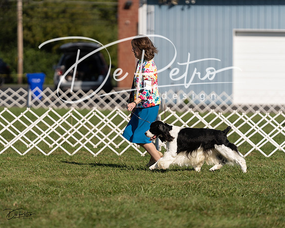 20230903-DSC03376
