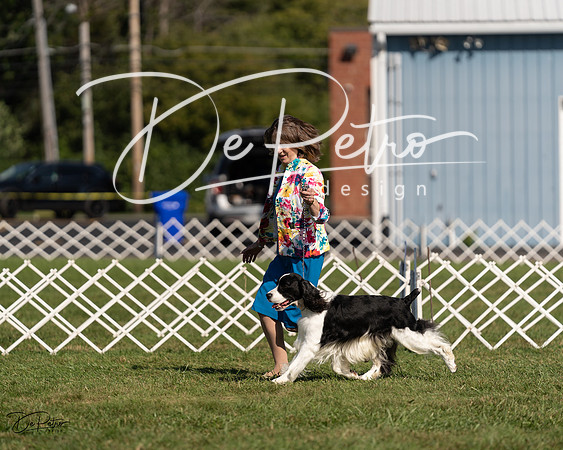 20230903-DSC03384
