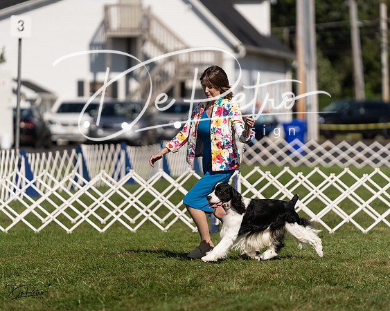 20230903-DSC03392