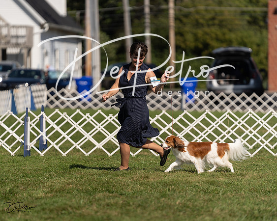 20230903-DSC03418