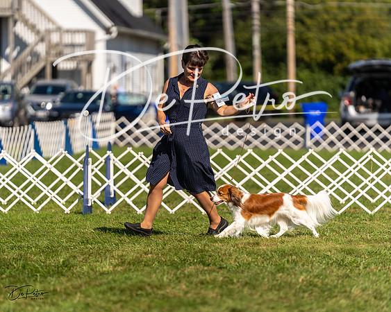 20230903-DSC03420