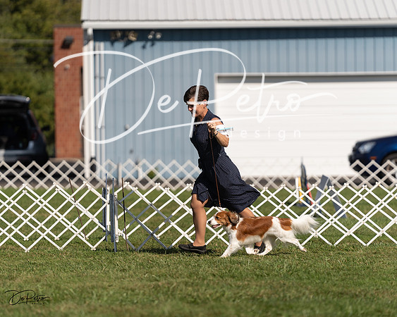20230903-DSC03428