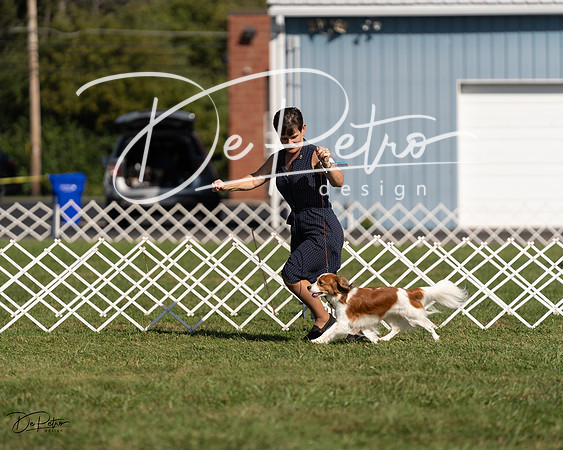 20230903-DSC03431