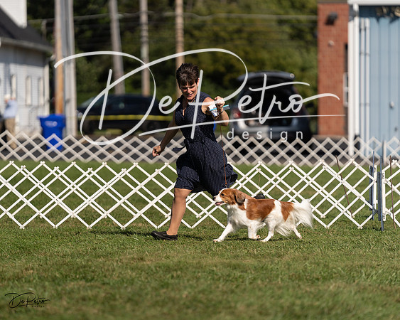 20230903-DSC03436