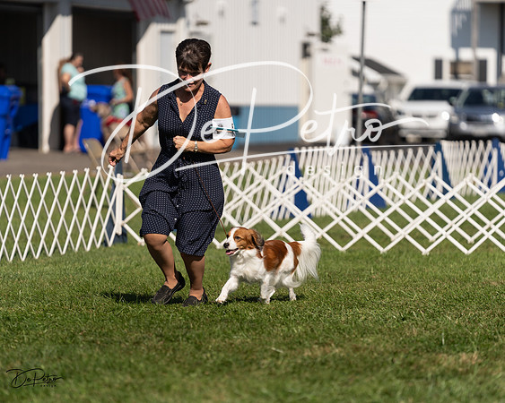 20230903-DSC03448