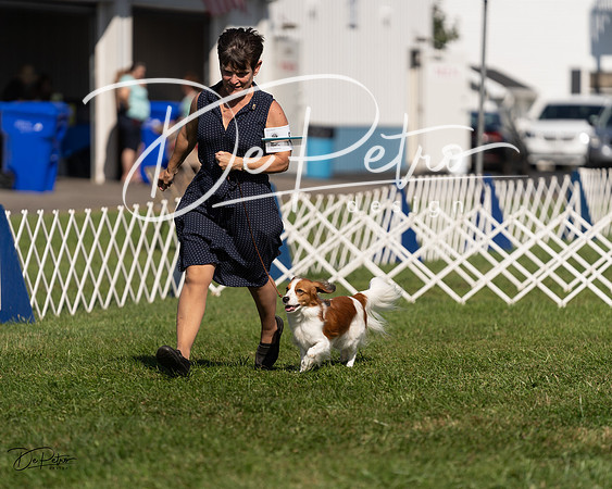 20230903-DSC03449
