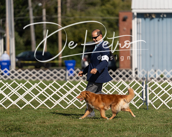 20230903-DSC03459