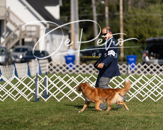 20230903-DSC03463