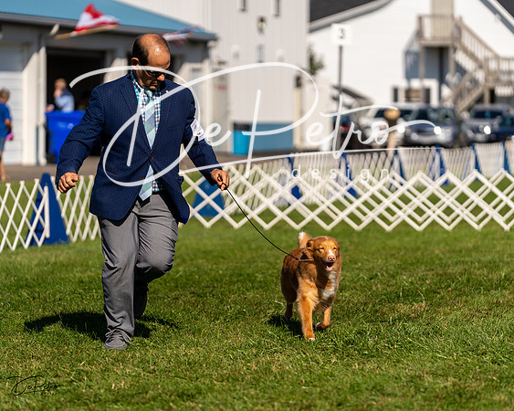20230903-DSC03495