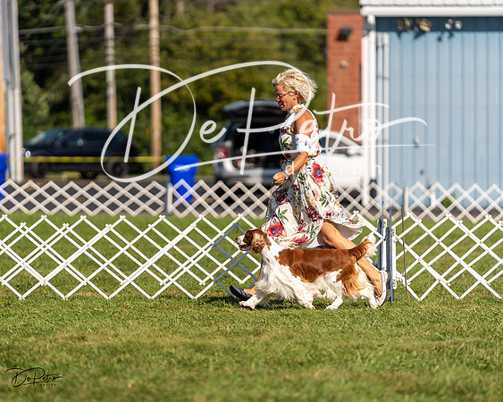 20230903-DSC03523