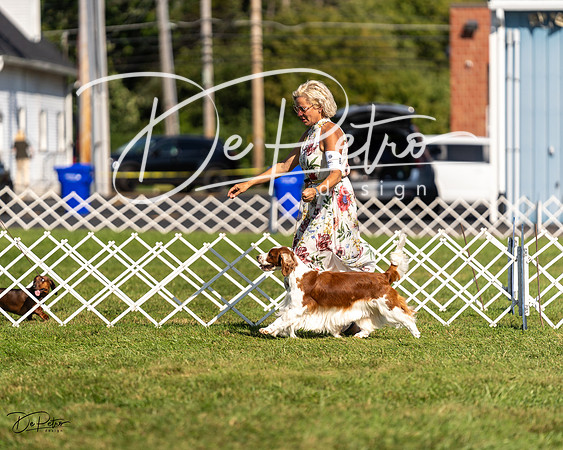 20230903-DSC03525