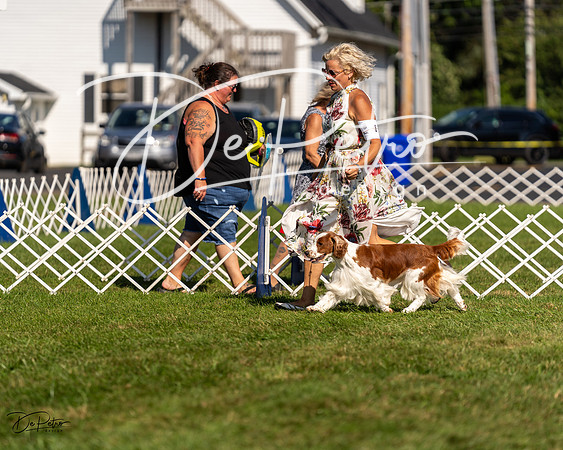 20230903-DSC03531