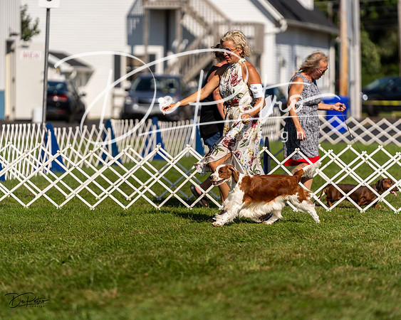 20230903-DSC03533
