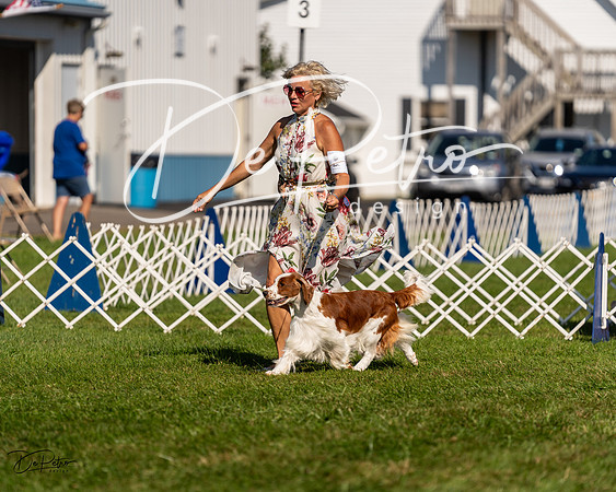 20230903-DSC03534