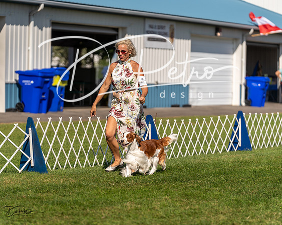 20230903-DSC03553