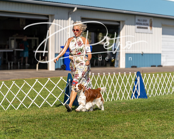 20230903-DSC03558