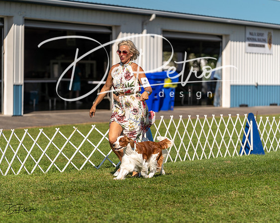 20230903-DSC03560