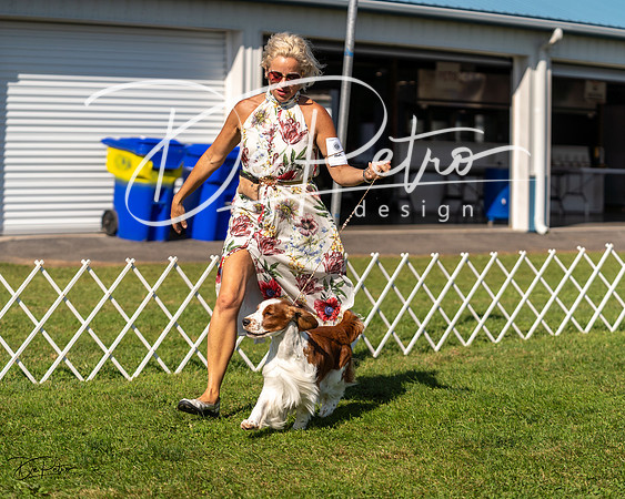 20230903-DSC03582