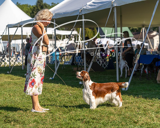 20230903-DSC03604