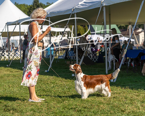 20230903-DSC03605