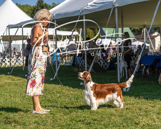 20230903-DSC03608
