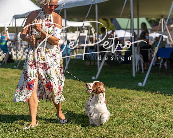 20230903-DSC03619