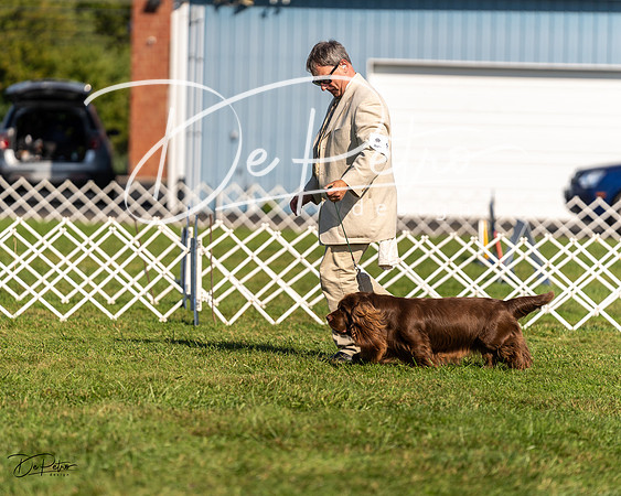 20230903-DSC03641