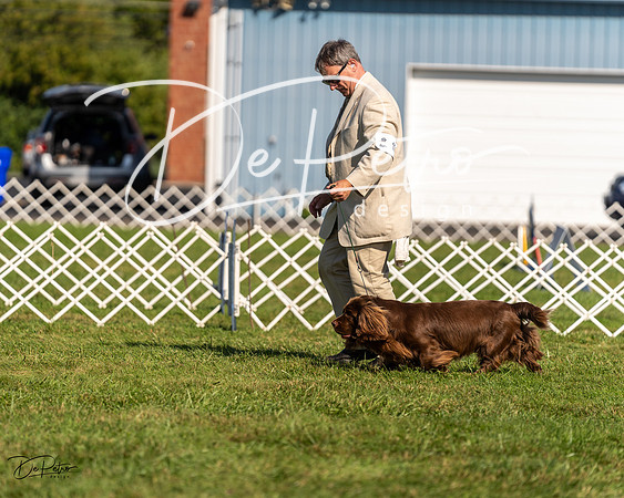 20230903-DSC03642