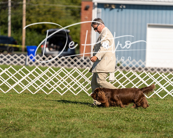 20230903-DSC03646