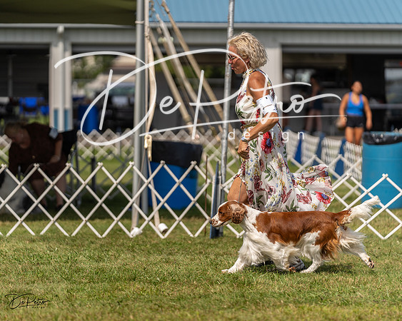 20230903-DSC02961