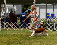 20230903-DSC02970