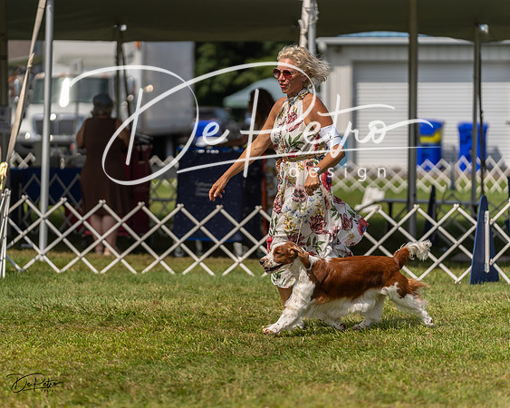 20230903-DSC02970