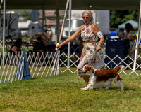 20230903-DSC02974