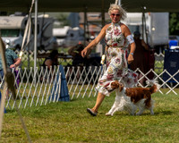 20230903-DSC02976