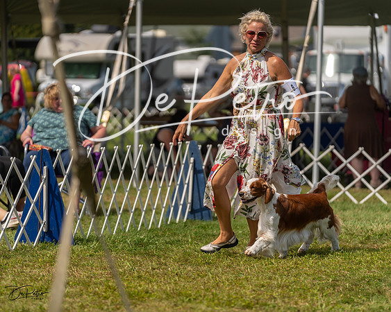 20230903-DSC02978
