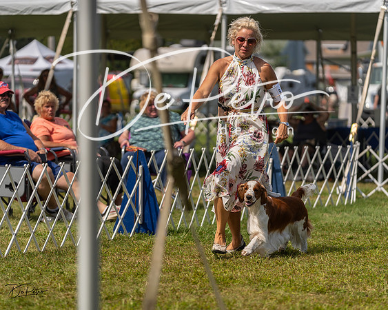 20230903-DSC02982