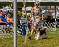 20230903-DSC02983
