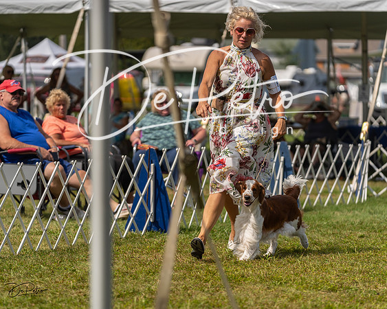 20230903-DSC02983