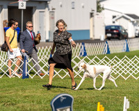 20230903-DSC02989
