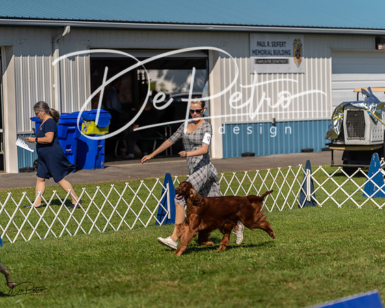 20230903-DSC02993