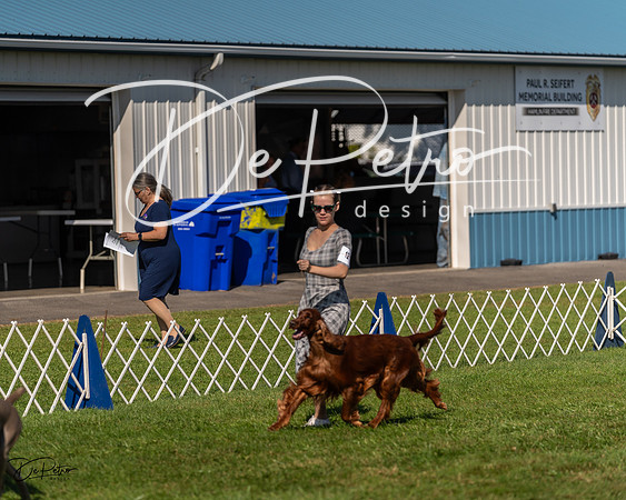 20230903-DSC02995