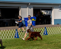 20230903-DSC02997